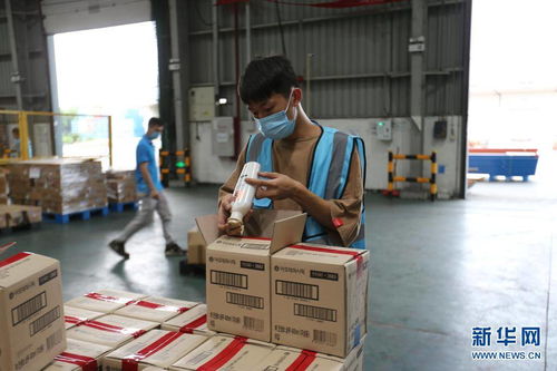 七一 重要講話精神在基層 開放不息, 海淘 不止 疫情防控常態化下的廣州對外開放之路