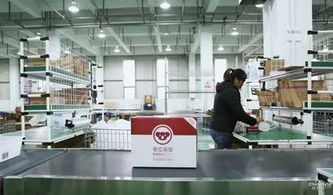 種下梧桐引金鳳 打造發展新引擎 青白江區2017年投資促進工作成效顯著